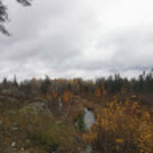 Meet your Posher, Bethany